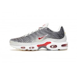 Nike Air Max Plus Tn Herren Grau und Weiß Schuhe